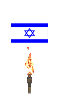 Burn Israel Flag