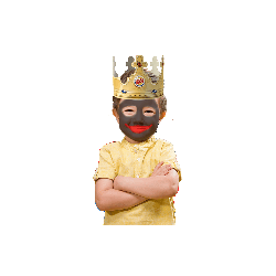 Dnslllpl