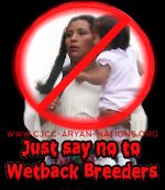 IMG_5211.jpeg IMG_5211.jpeg