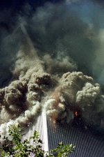 IMG_7910.jpeg