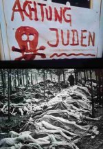 IMG_5579.jpeg