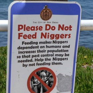 Don’t Feed the Niggers