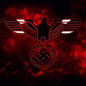 The Warbird