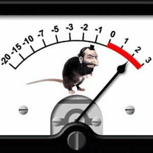 Jewish Rat!