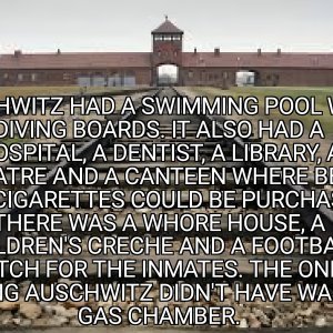 Auschwitz Exposed