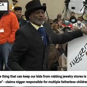 Niggers Destroy